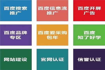 成功案例揭秘：百度推广代运营的五大优势